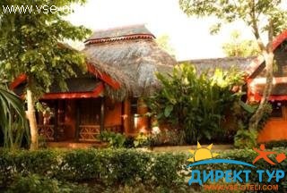 Фото #1The Caves (The Caves)