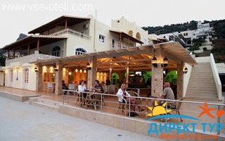 Фото #1Heliotrope (Heliotrope)