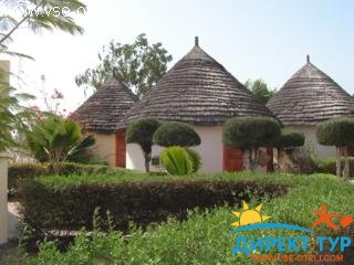 Фото #1Warang (Warang)