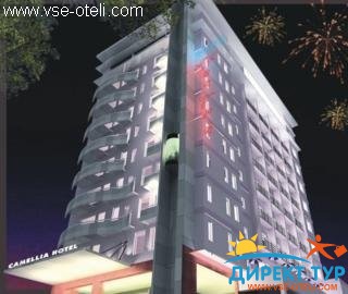 Фото #1Camellia Hue (Camellia Hue)