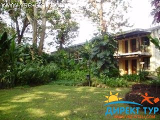 Фото #1Las Farolas (Las Farolas)