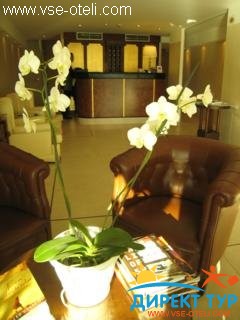 Фото #1Paganelli (Paganelli)