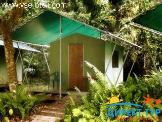 Фото #1Jungle Lodge (Jungle Lodge)