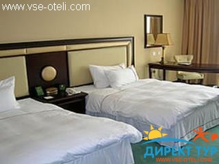 Фото #1Regent (Regent)