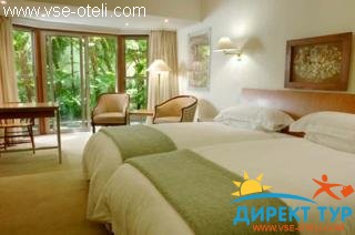 Фото #1Vineyard (Vineyard)