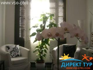 Фото #1Charma (Charma)