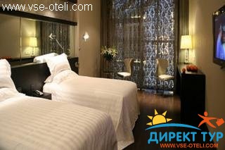 Фото #1Orange Xuanwu (Orange Xuanwu)