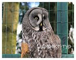 День 4 - Лапландия - Куусамо