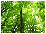 День 6 - Княжеские скалы - Львов