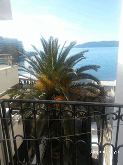 view from terrace No1