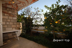 App5_terrace