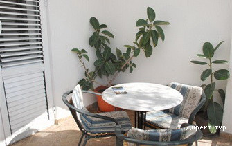 studioNo7_terrace