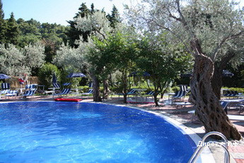 Pool_view