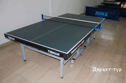 table tennis