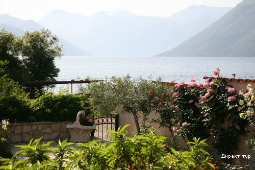 garden sea view