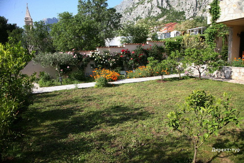 garden